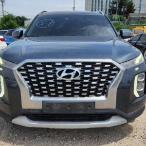 Hyundai Palisade 2020